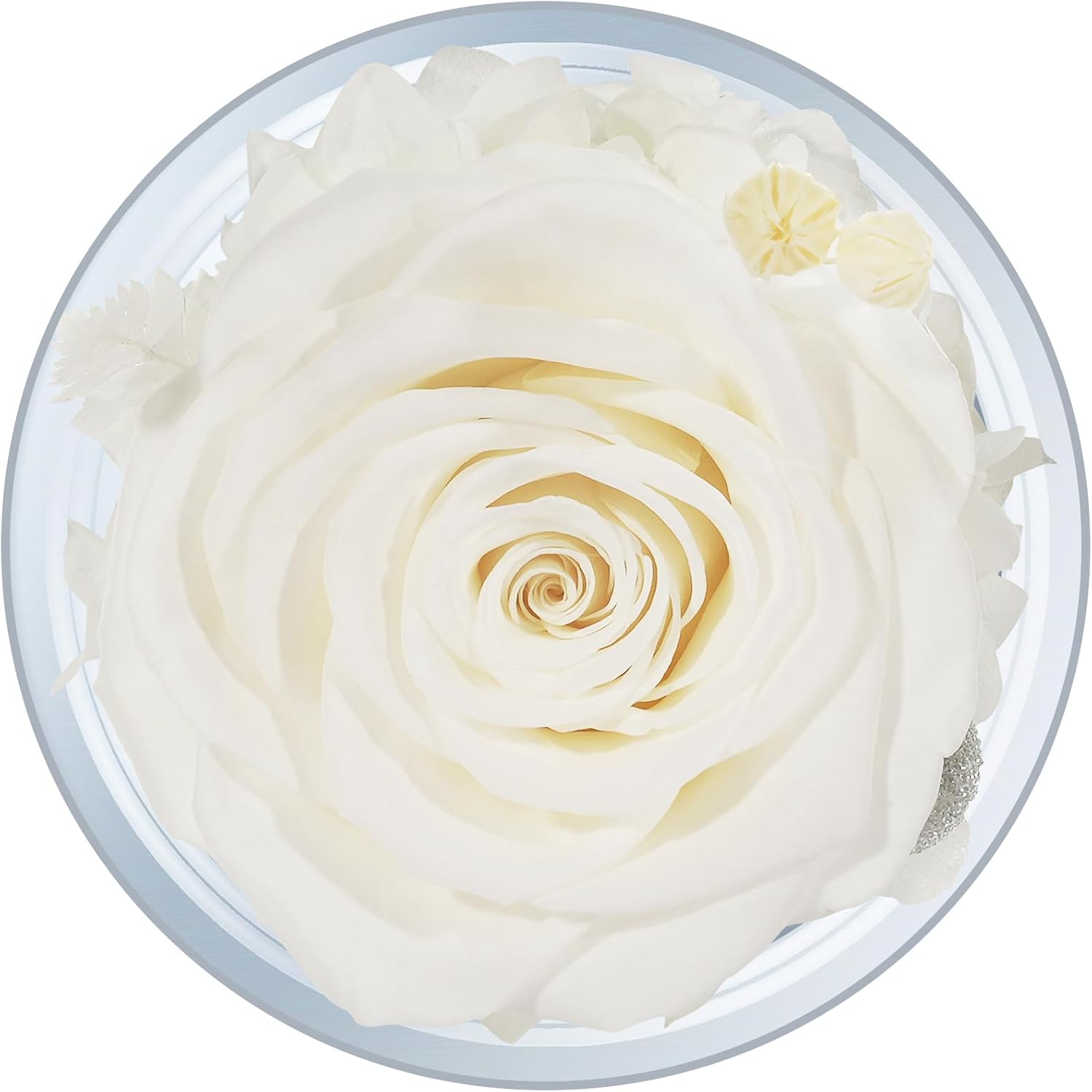 Sunia Valentines Day Rose Gifts for Women, Birthday Gifts for Mom Grandma, Forever Preserved Flower in Glass Angel Figurines Flowers for Delivery Prime, Mothers Day Real Roses for Her Wife - Image 9