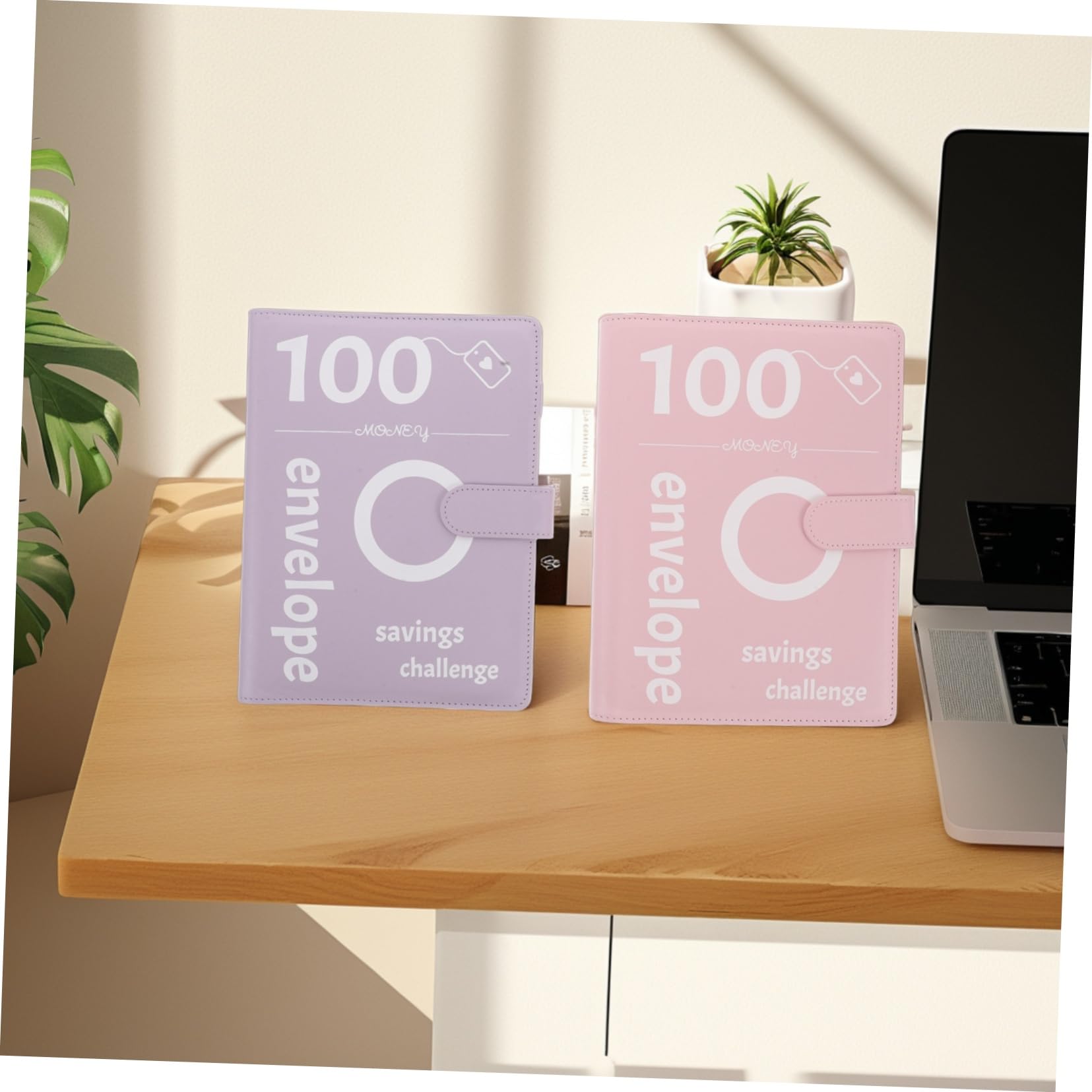 Homoyoyo Carnet d'Économies Enveloppes 100 Pochettes Transparentes Classeur Multifonctionnel pour Budget et d'Épargne Organisateur Pratique pour Couples