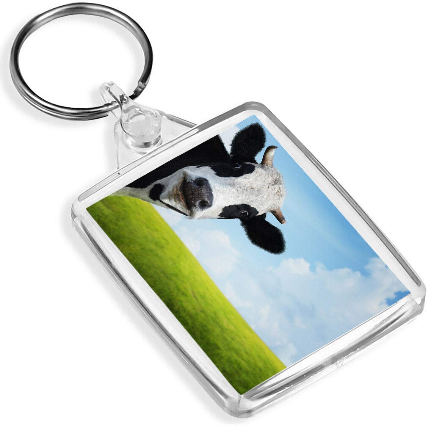 Funny Cow Dairy Cows Farmer Farming Milk Kids Animal Girl Boys Keyring #8273