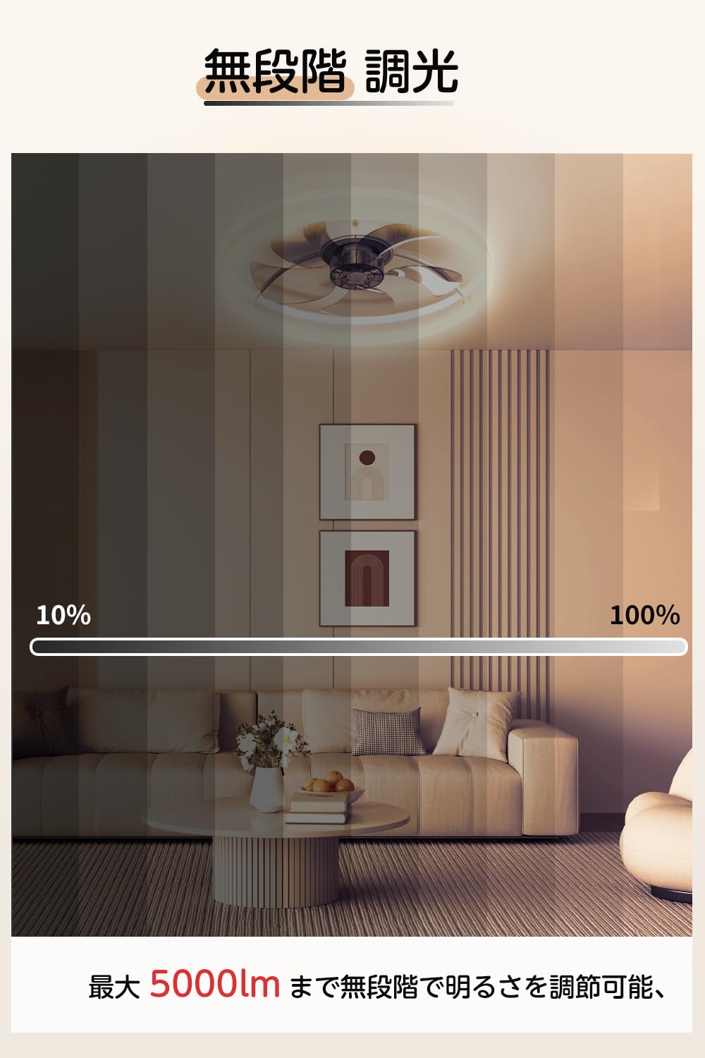 Amazon | シーリングファンライト coizabera 揺らぎ防止 8-12畳