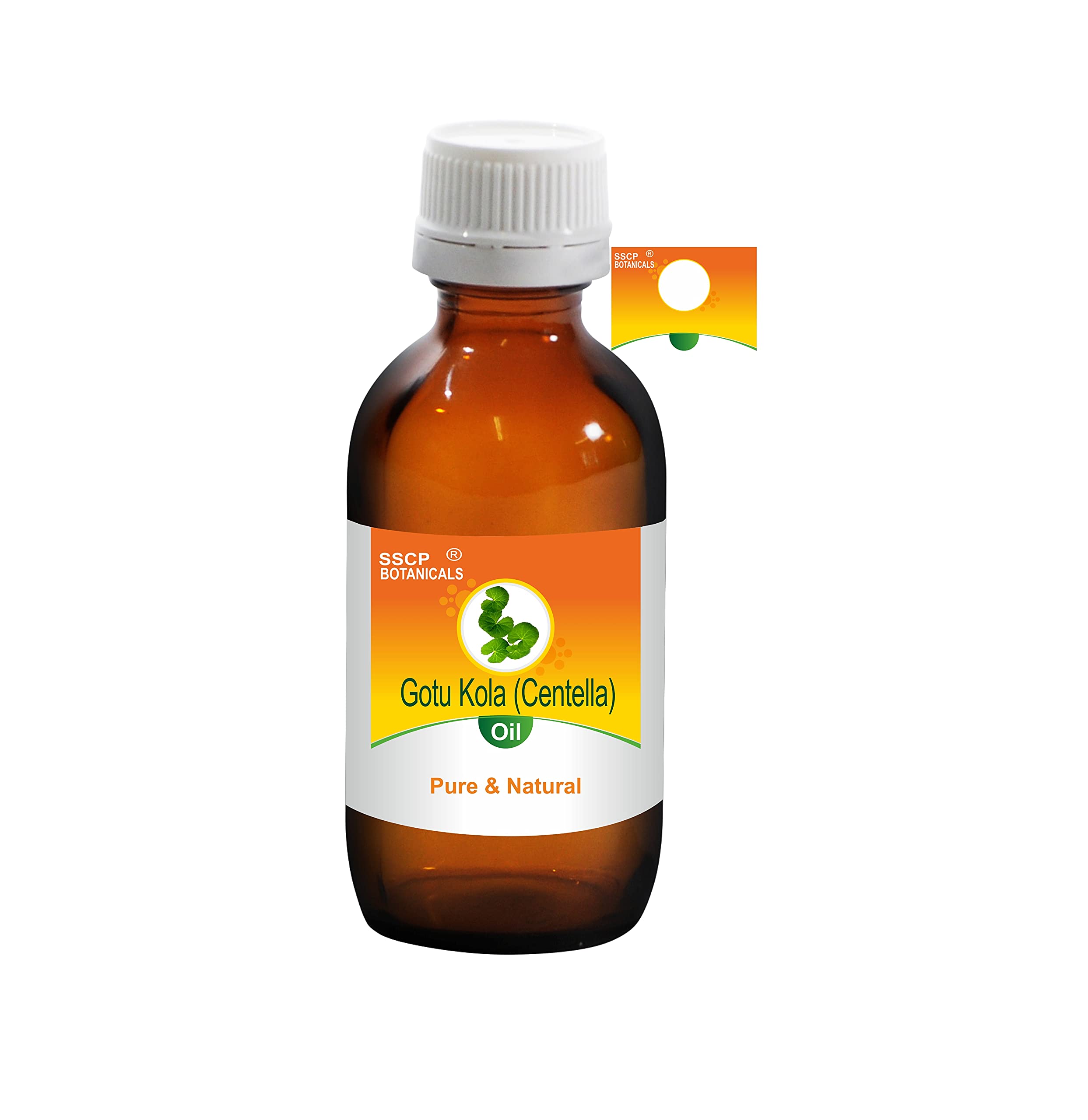 SSCP Botanicals Gotu Kola (Centella) Pure & Natural Carrier Oil (Centella asiatica) (5 ml (0.17 Oz))