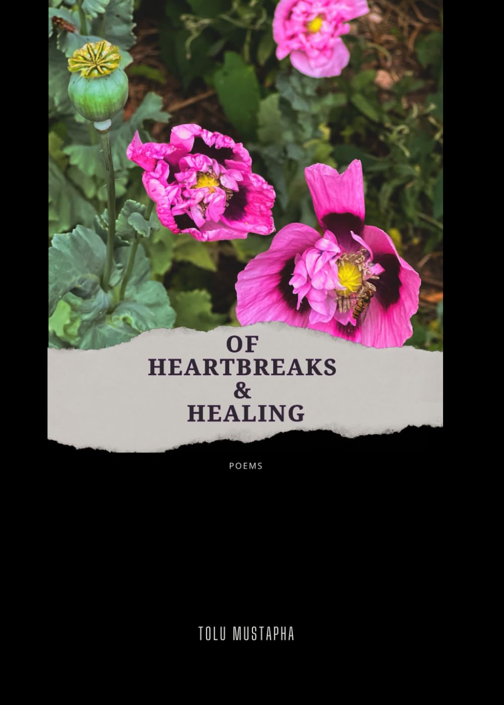 OF HEARTBREAKS & HEALING