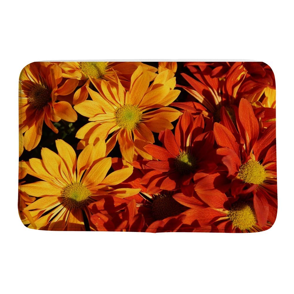 Tapis de douche absorbant en velours lavable avec envers antidérapant sécurisé