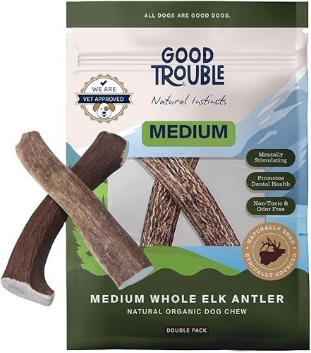 Good Trouble Pets Premium Wild Elk Astas masticables para perros (paquete de 2)  Huesos duraderos para perros masticadores agresivos, masticables de