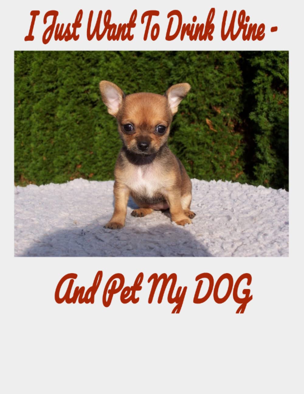 I Just Want To Drink Wine And Pet My Dog