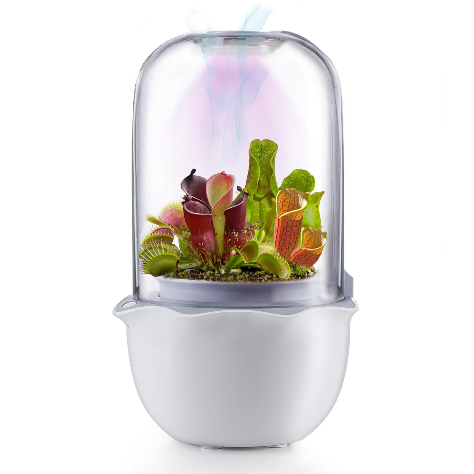 Ronjregan Smart Planter with Timer and Fan, Small Terrarium Kit for Succulents, Venus Fly Trap, Carnivorous Plants, Transparent Glass Pot with LED Grow Light and Drainage Hole