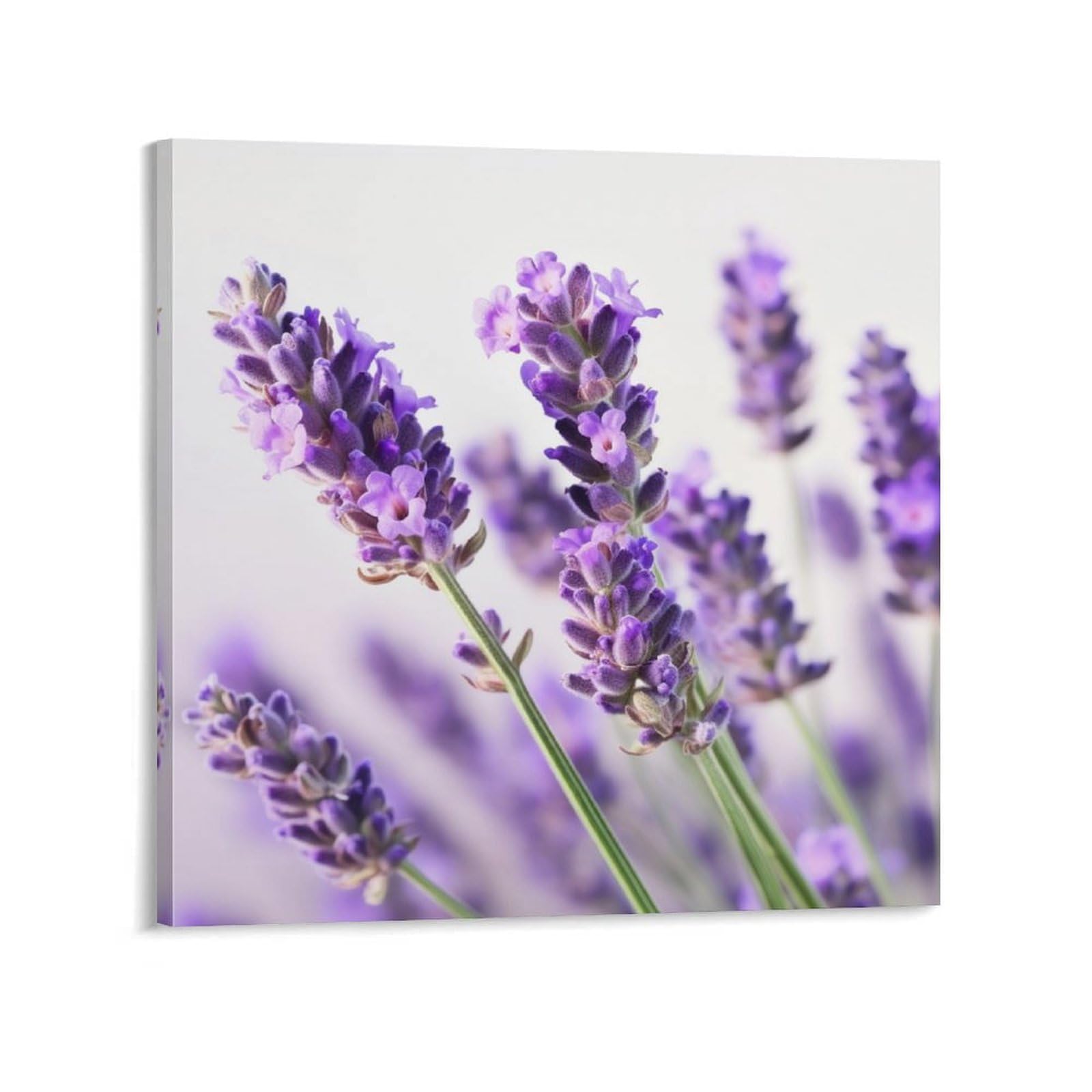 Lavender Flower Canvas Wall Art for Bedroom 20x20inch Canvas Prints Artwork for Walls Modern Picture Artwork Painting for Living Room Aesthetic Wall Paintings for Bathroom Kitchen Office Deco