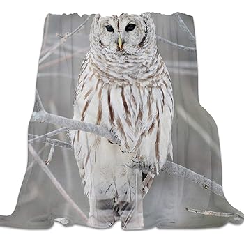 puppy bouncer fisher price