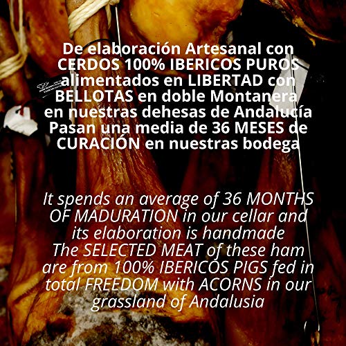 0,5 kg Epaule Jambon Bellota PATA NEGRA 100% Iberique DOP JABUGO SUMMUN Tranche Cru au Couteau - Jamon Iberico Espagnol Cru - Charcuterie Ibérique Espagne Panier Gourmand - (5 packs 100 gr)