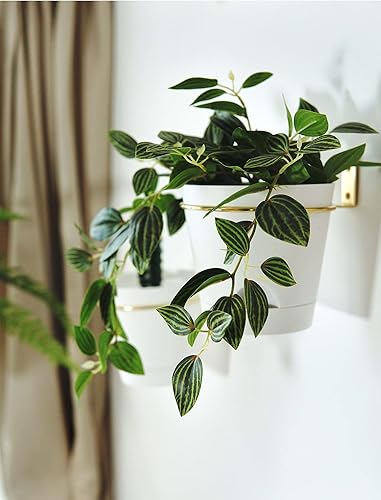 Miniatura 5 de Macetas de pared para plantas de interior, paquete de 3 soportes para macetas de 6 pulgadas, anillo de metal con macetas de riego automático para