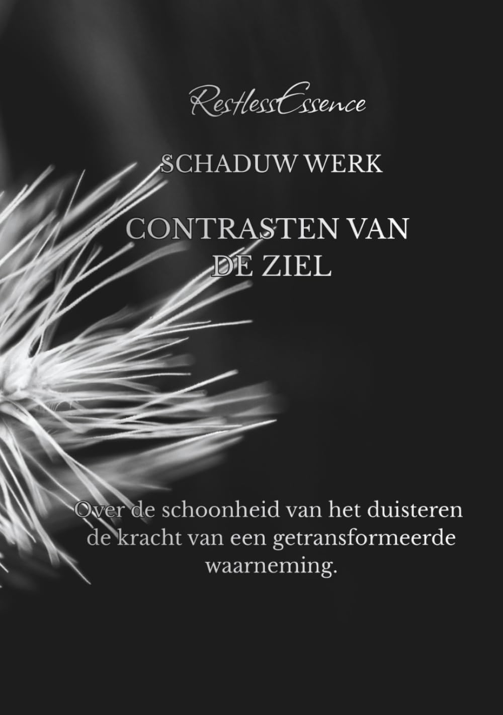 Schaduw Werk Contrasten Van De Ziel: Over de schoonheid van het duisteren de kracht van een getransformeerde waarneming