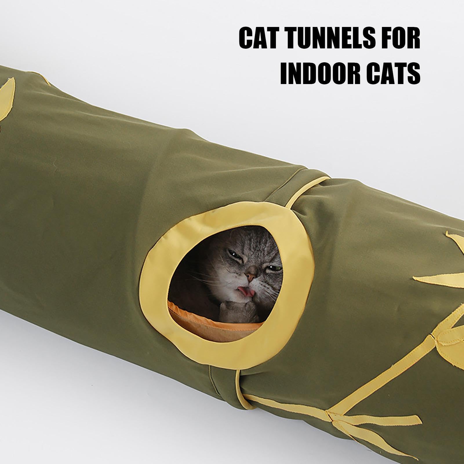 Kattentunnel - Speeltunnel voor Katten - Walter de Kat