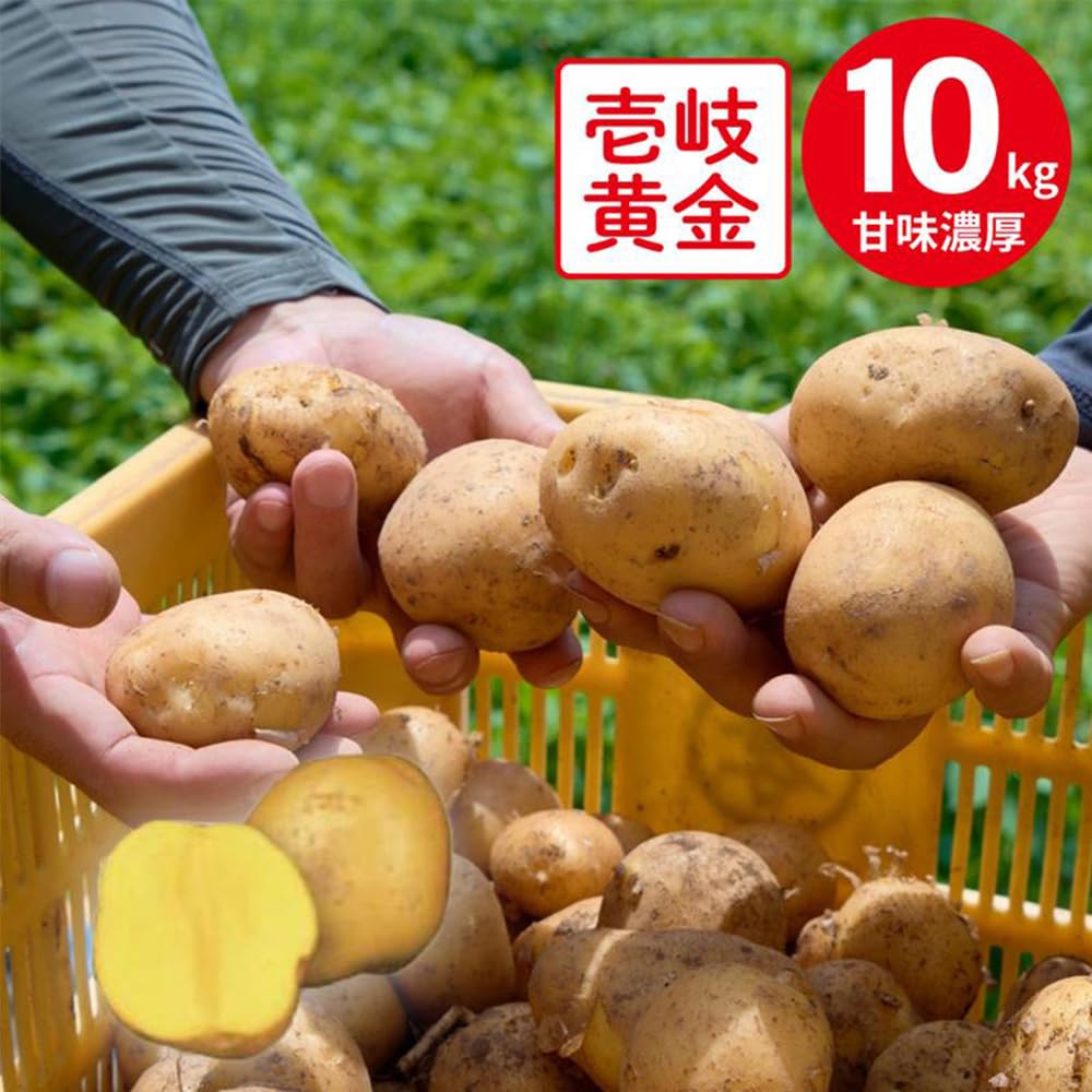Amazon.co.jp: JA壱岐市 壱岐黄金 10kg じゃがいも 予約販売 7/3～10お