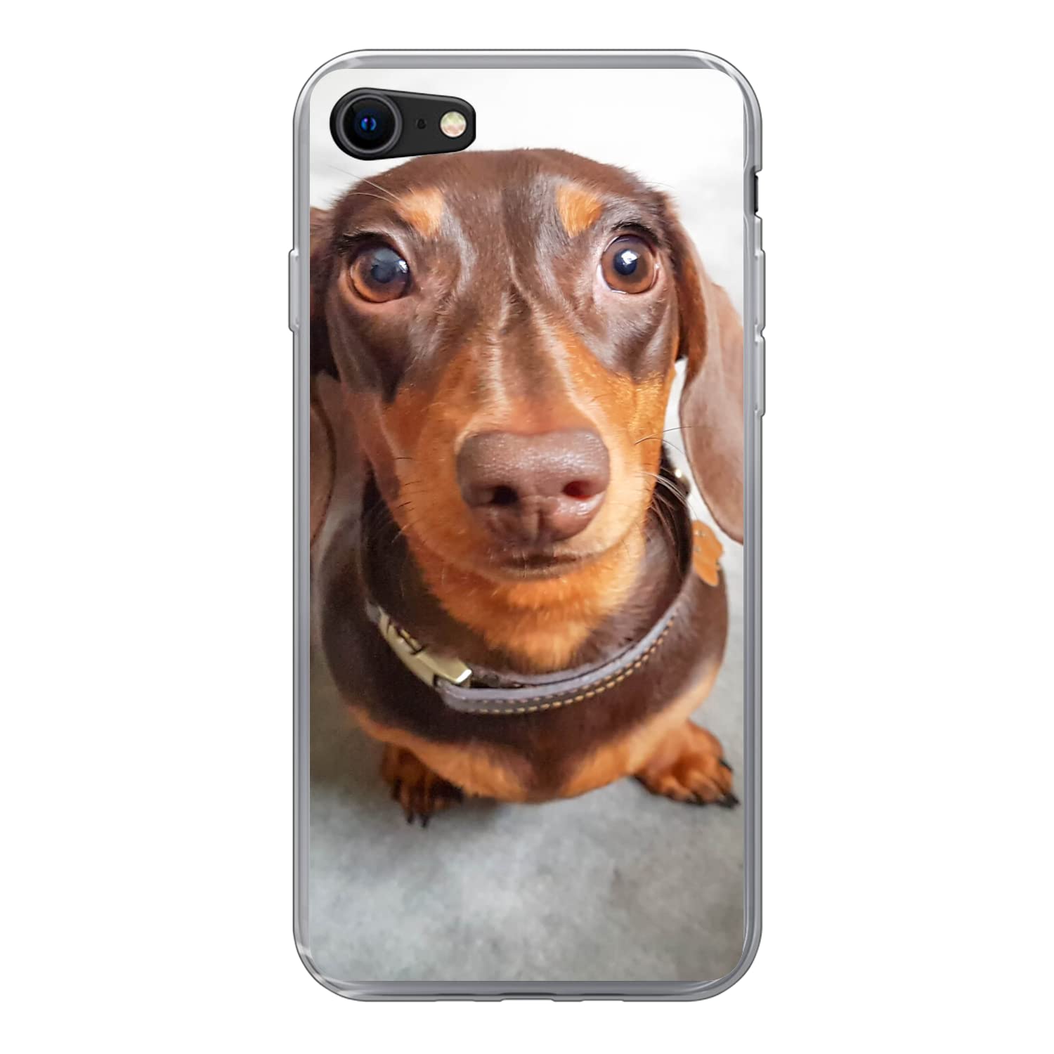 MuchoWow Funda para iPhone SE 2020 - Primer Plano de la Cabeza de un Perro Salchicha - Funda de Silicona/Funda Blanda para teléfono móvil