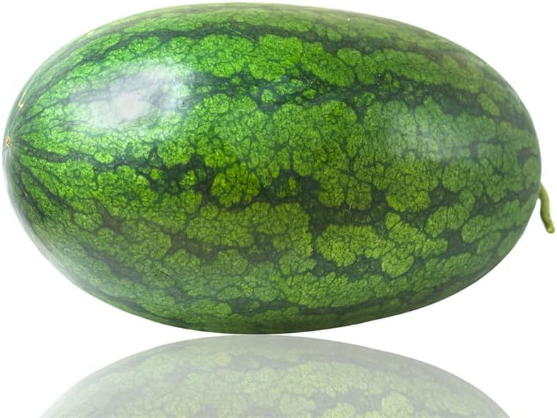 Miniatura 4 de Sandía-Congo (20 semillas)