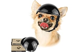 Enjoying Pet Helmet: The Ultimate Headgear for Adventurous Canines