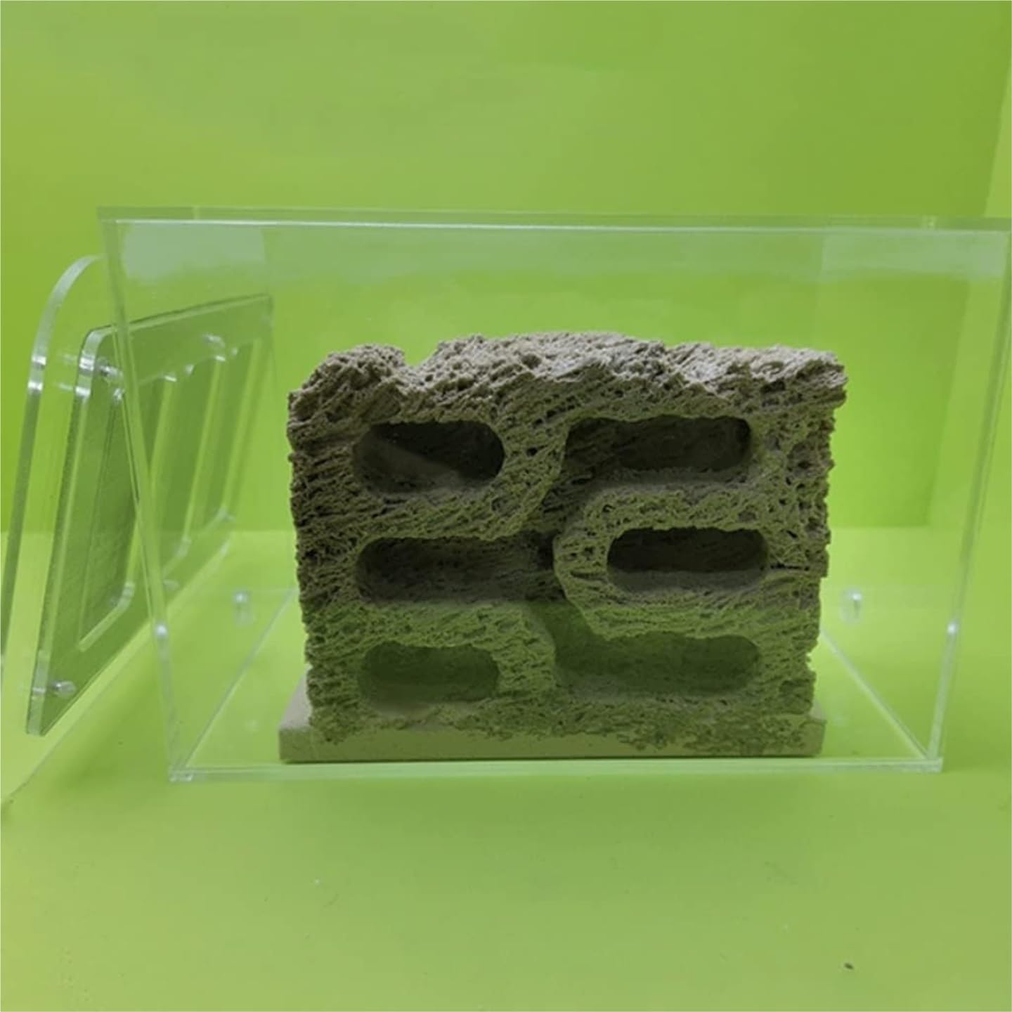 Formicarium pour Fourmis, Nid de château Maison formicarium Fourmis en Acrylique Transparent for l'observation Scientifique. Taille