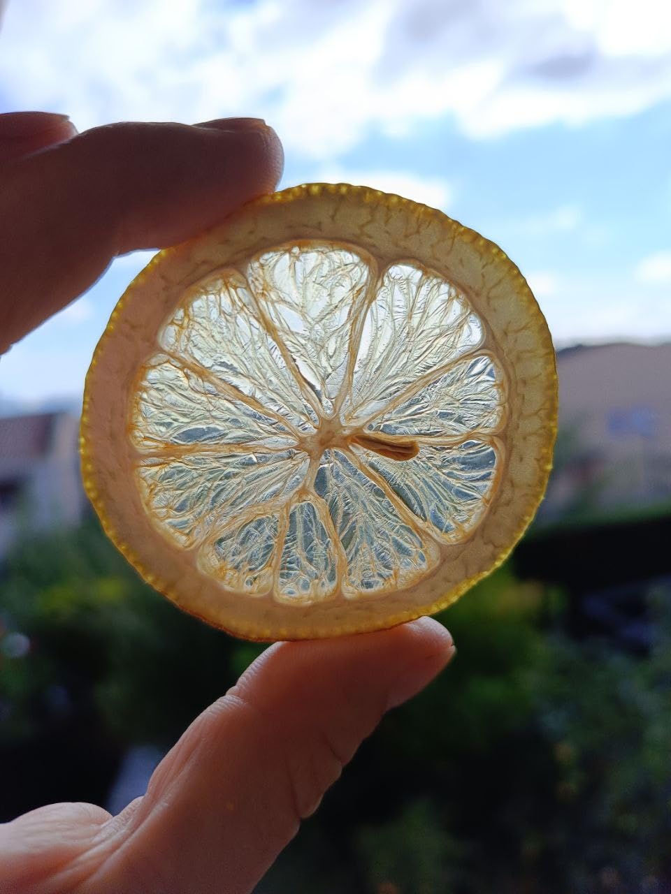Mezcla de frutas deshidratados 200 GR sin azucar y sin sulfitos, puro y natural