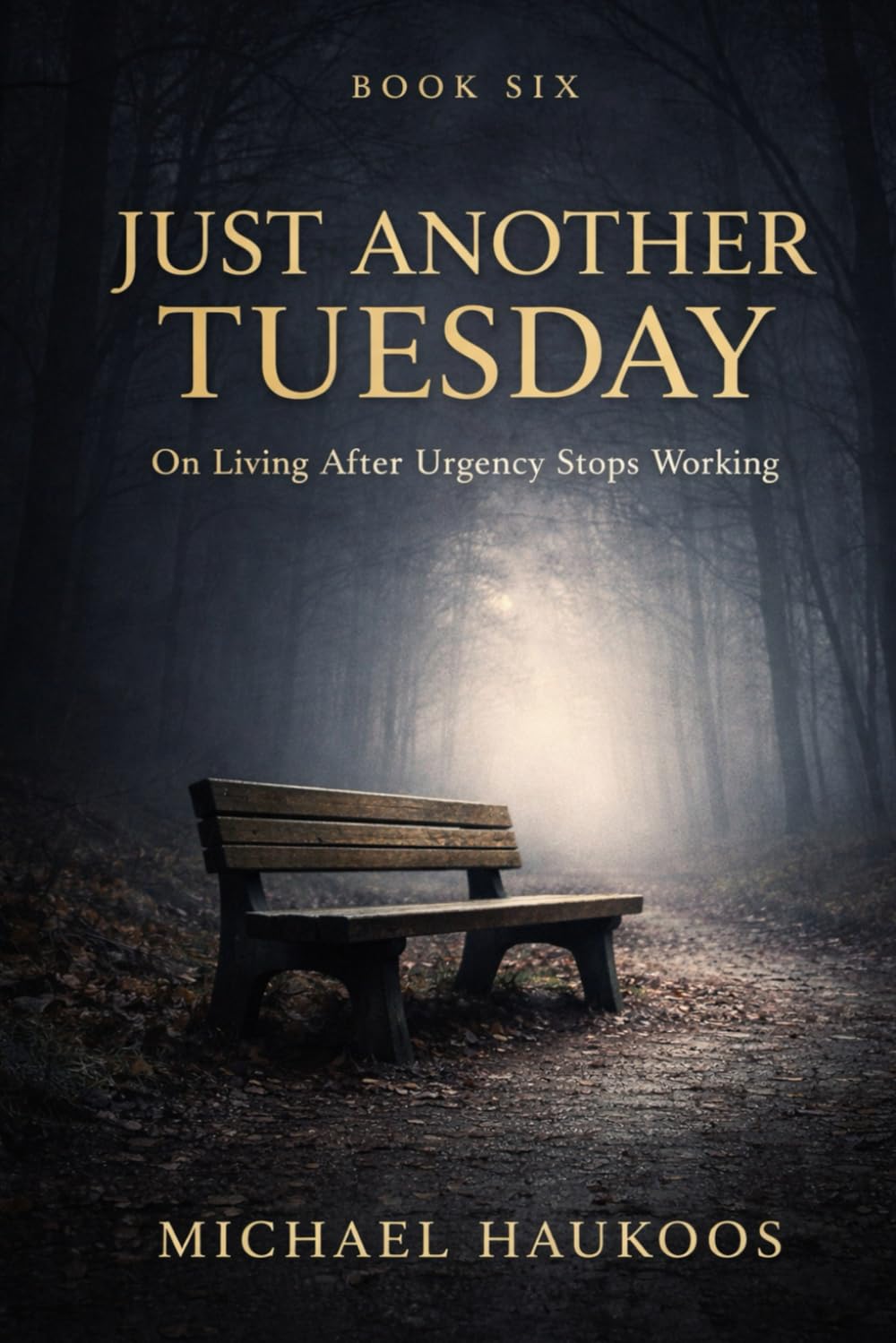 Just Another Tuesday: On Living After Urgency Stops Working: 6 (A Testament to What Collapses)