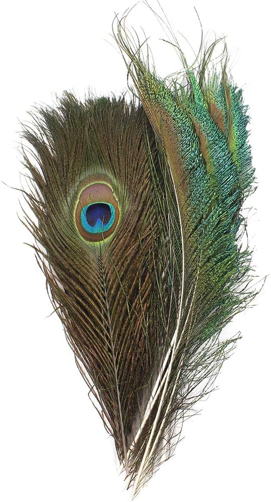 Real Natural Peacock Feathers 10-12 inchs 10pcs and Peacock Sword Feathers 12-15 inchs 10pcs for DIY Craft,Wedding Decoration (20)