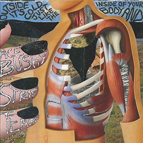 It's Hard to Keep Yr Shit Together When All Yr Zips Are Broken [Explicit]