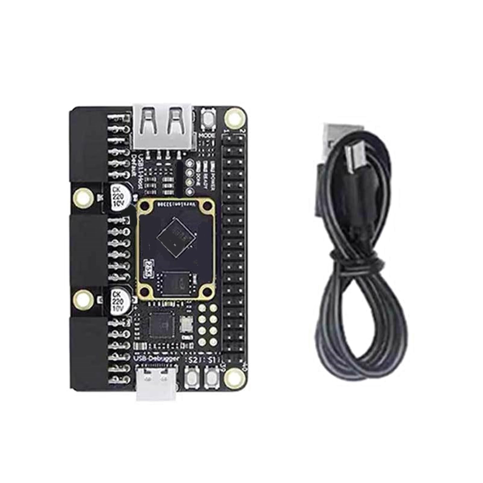 Carte de développement 25K RISCV FPGA PMOD SDRAM GW5A-LV25MG121 Développement 64 Mbit SPI clignotant Maison unique