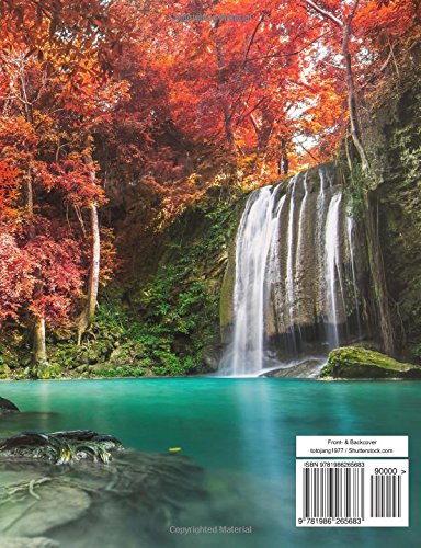 Dékokind® Dankbarkeits-Journal: Ca. A4-Format • Für 365 Tage, Vintage Softcover • Ein Tagebuch für mehr Achtsamkeit, Erfüllung & Glück im Leben • ArtNr. 25 Garten Eden • Ideals als Geschenk