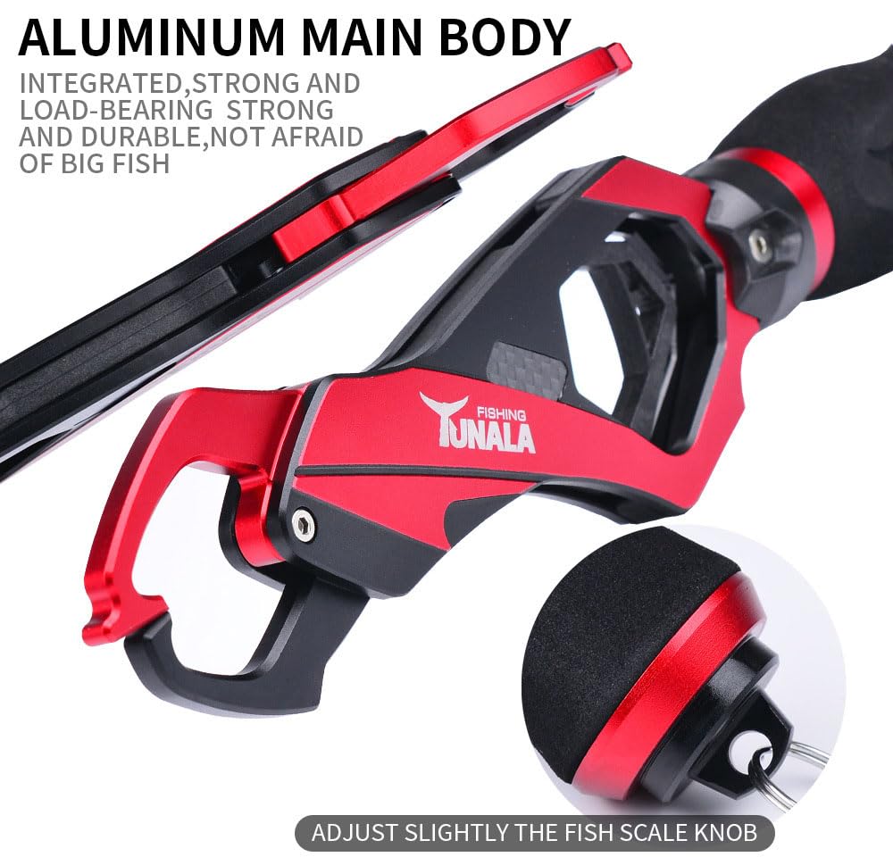 Basic Fishing: A Beginner's Guide