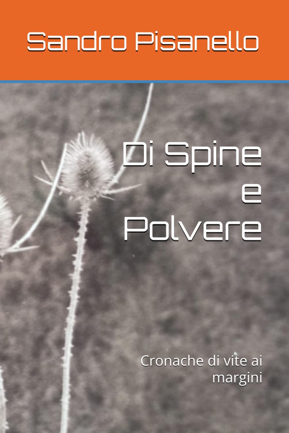 Di Spine e Polvere: Cronache di vite ai margini