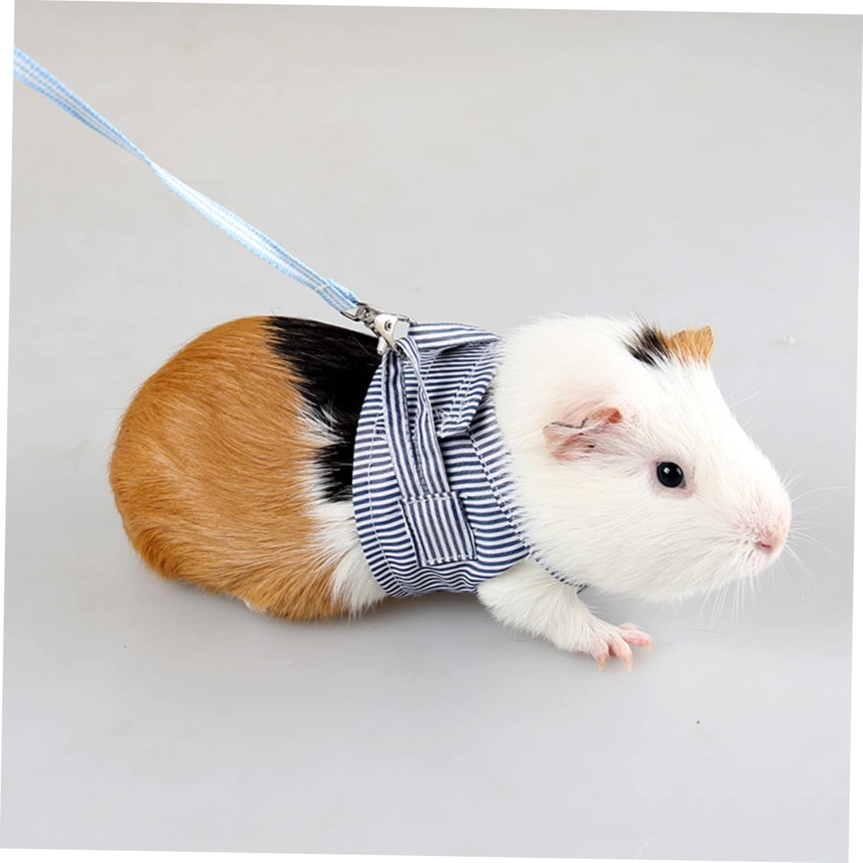 INOOMP 3stücke Haustier Geschirr Mit Leine Verstellbar Und Atmungsaktiv Für Meerschweinchen Igel Und Chihuahua Blau Für Ausflüge Und
