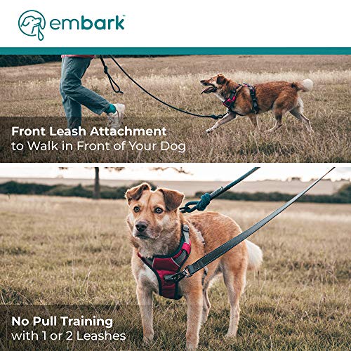 Buy Embark Adventure Dog Harness, Easy On and Off with Front and Back