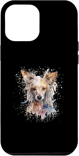 Miniatura 10 de Funda de arte de acuarela con cresta china colorida para iPhone 1212 Pro