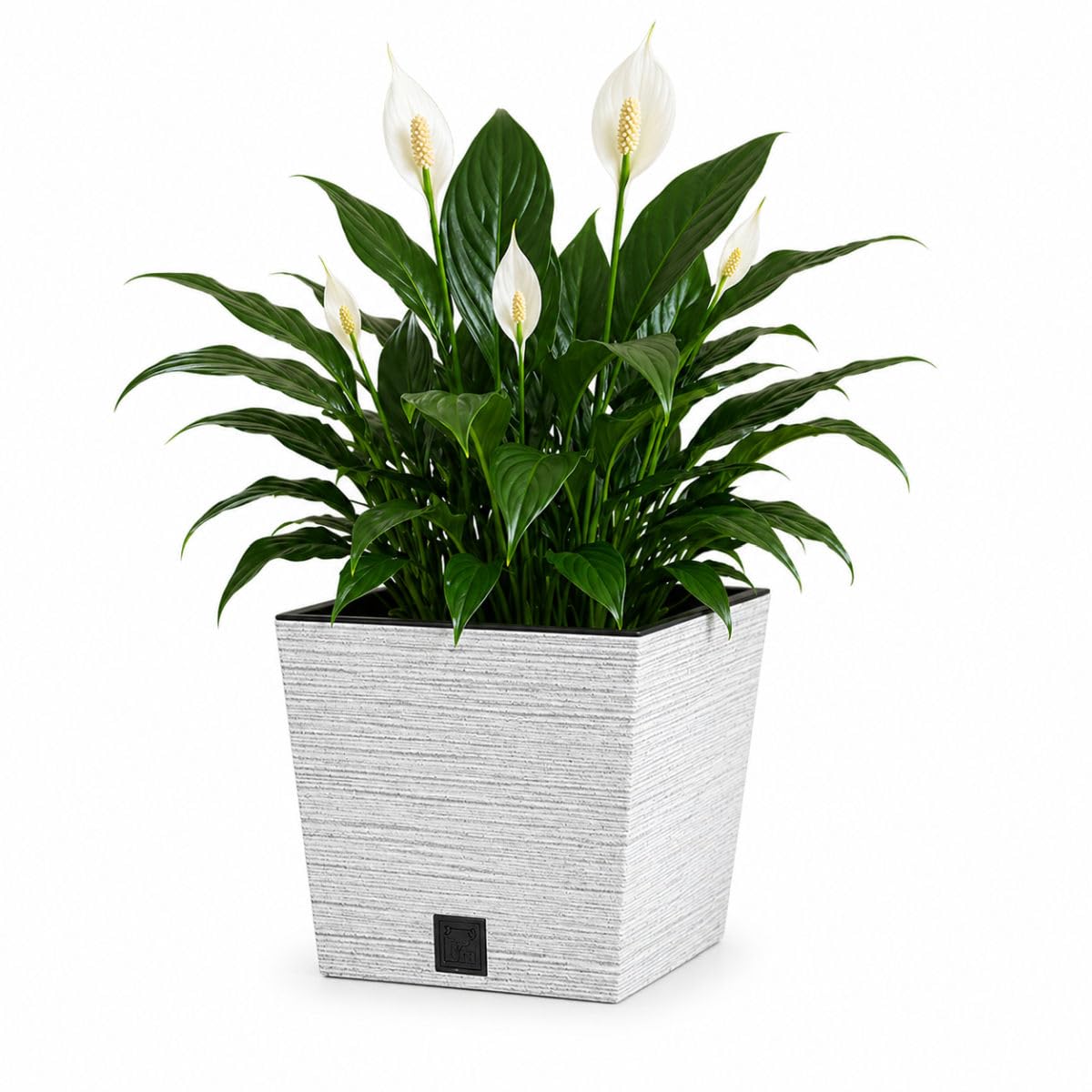 Gardening Naturally Fora Flowerpots, Stylish and Durable Plant Pots for Indoor and Outdoor Use (Square Pot 24cm - White) — image 1