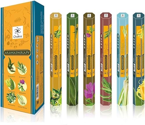 chakra Aromatherapy Natural Fragrance Scented Sticks - Promotes Health and Well Being- 20 Incense Sticks Per Box - Long Lasting 120 Fragrance Sticks - Pack of 6