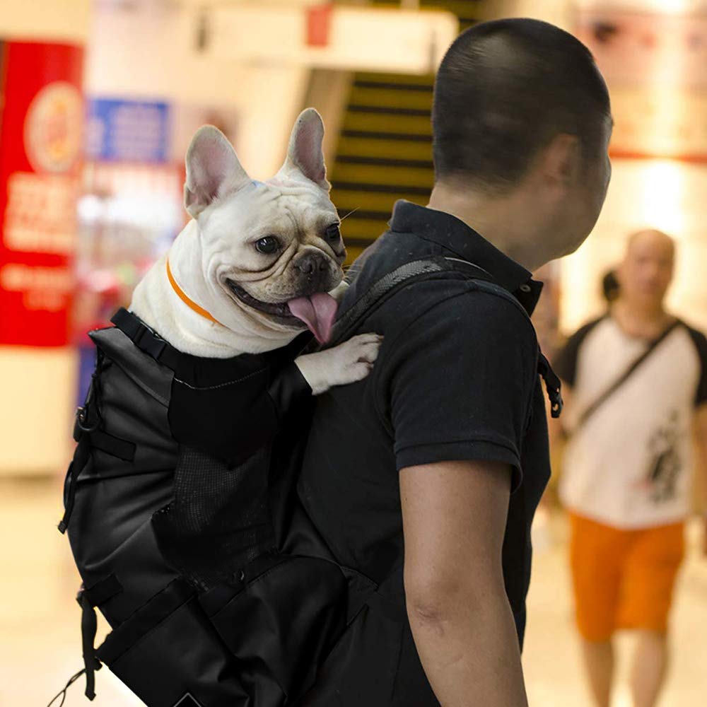 Woolala Mochila ligera para transportar mascotas para perros pequeños y medianos, bolsa segura aprobada por veterinarios para viajes, fácil de llevar, ahorra espacio (XL, actualizada, color negro)