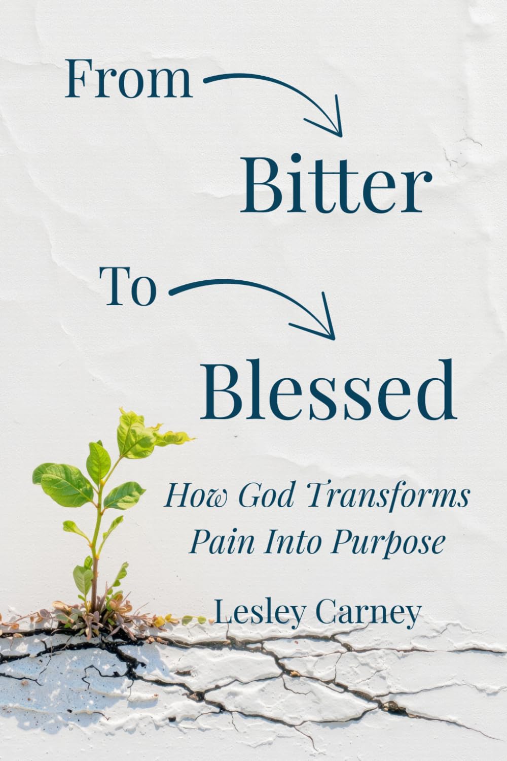 From Bitter to Blessed: How God Transforms Pain into Purpose