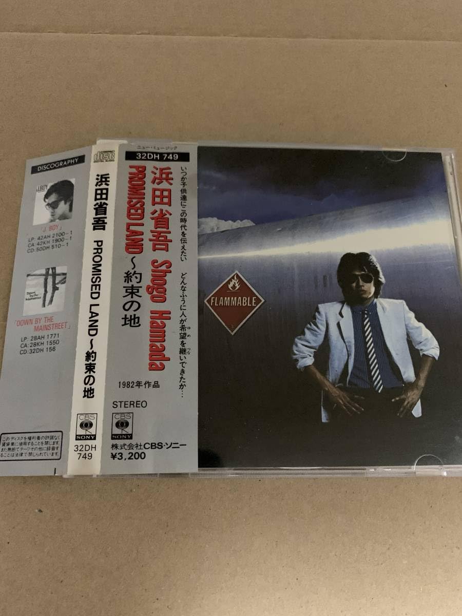 Amazon.co.jp: Gate Of THe Promised Land SHOGO HAMADA プロミス