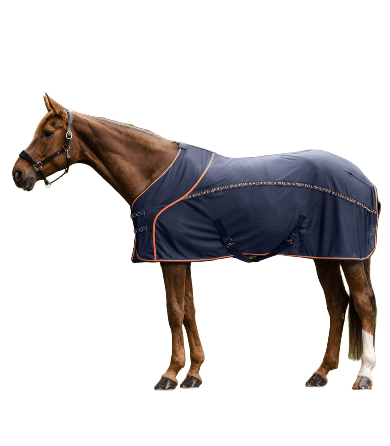 Couverture d'été anti frottement bleu nuit orange 155 cm pour cheval