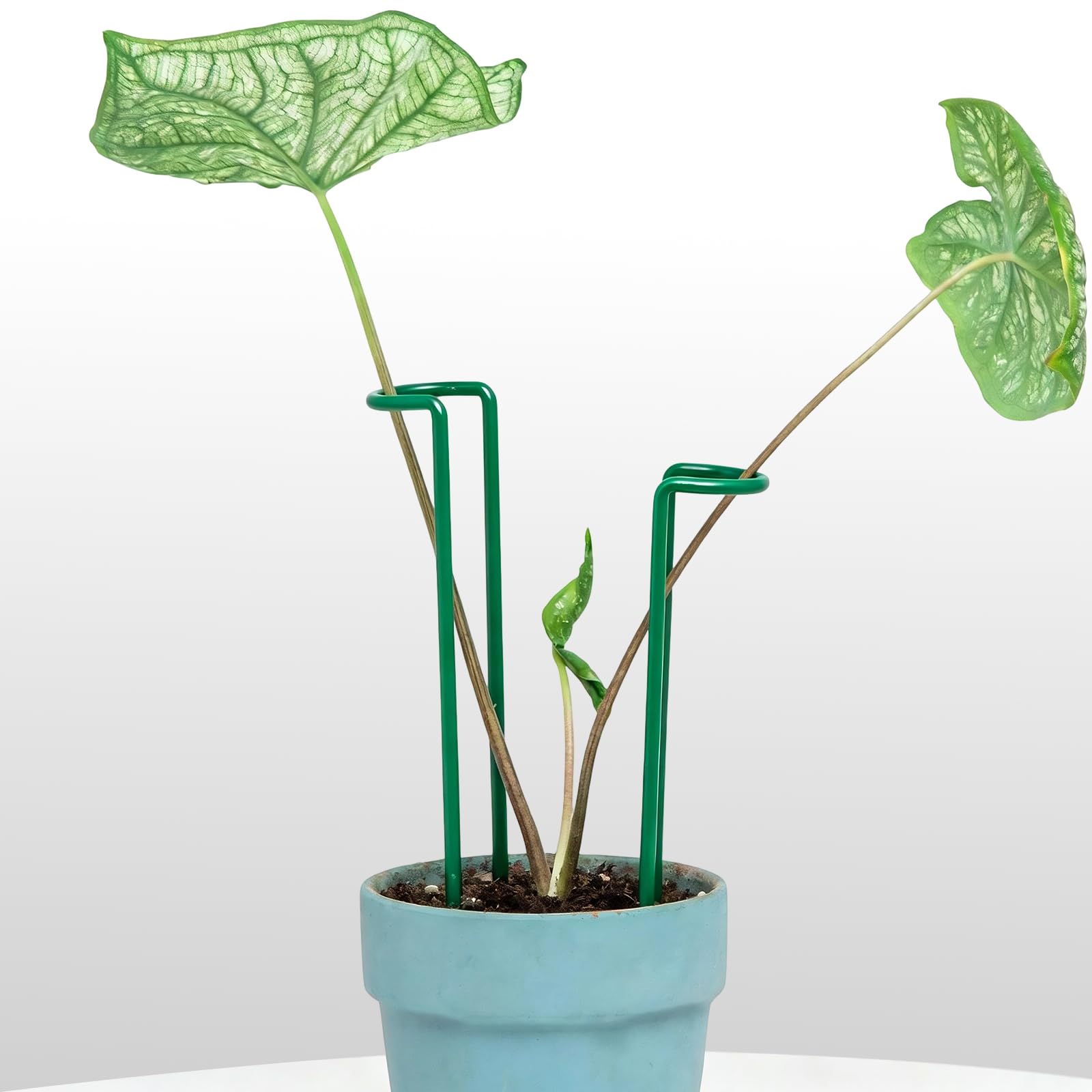 Lot de 10 piquets pour plantes d'intérieur – Support en fer durable en forme de U pour plantes Monstera et en pot, parfait pour les plantes grimpantes de petite et moyenne taille, idéal pour