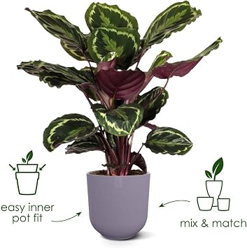elho Jazz Round Flower Pot 23 cm Silk White Diameter 23.1 x height 21.5 cm suitable for indoor use 100% recycled plastic