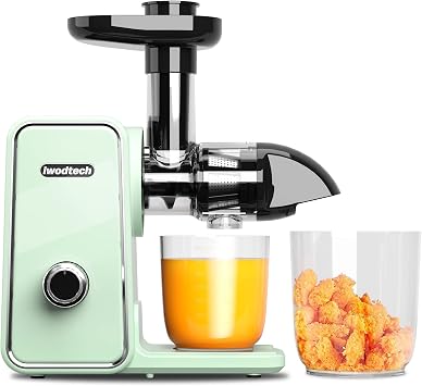 Juicer Machine, Cold Press Juicer with 2 Speed Modes, Slow Masticating Juicer Vegetable and Fruit, Celery Juicer, Easy to Clean, Matcha Green