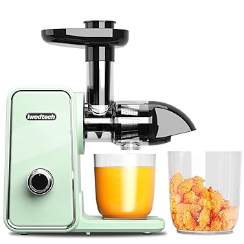 iwodtech Slow Masticating Juicer - with 2-Speed Modes, Easy-to-clean cold press juicer, juicer machines v