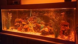 Review Image by Longbow1 Longbow1