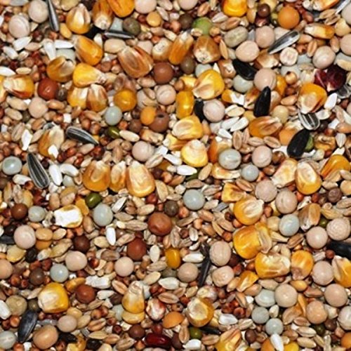 Kampol 25kg Taubenfutter R Zuchtmischung Cover