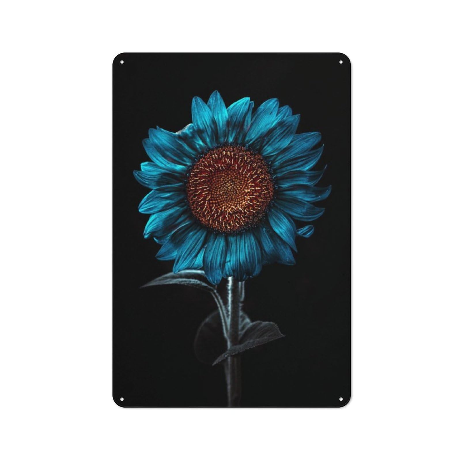 Junmoney Azure Sun Flower Rustic Tin Sign 30X20cm For Café Or Restaurant, A Decorative Christmas Gift For Hospitality Interior Collectors