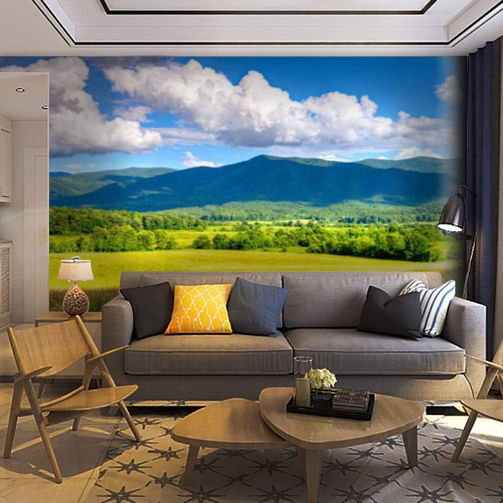 Wallpaper Wall Mural Smokies Self Adhesive Removable Peel & Stick Wall