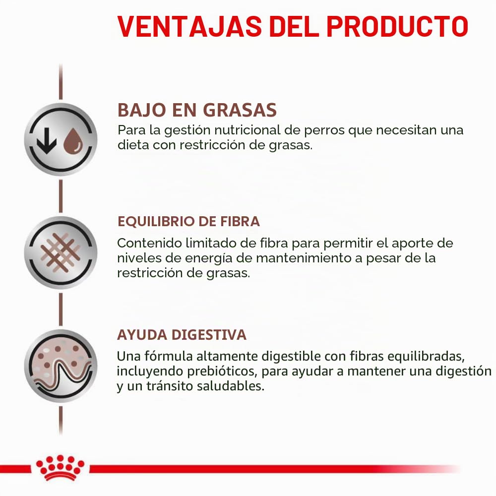 Royal Canin Veterinary Gastrointestinal Low Fat Mousse | 12 x 420 g | Pienso Completo para Perros Adultos | para el Apoyo digestivo y la obesidad.