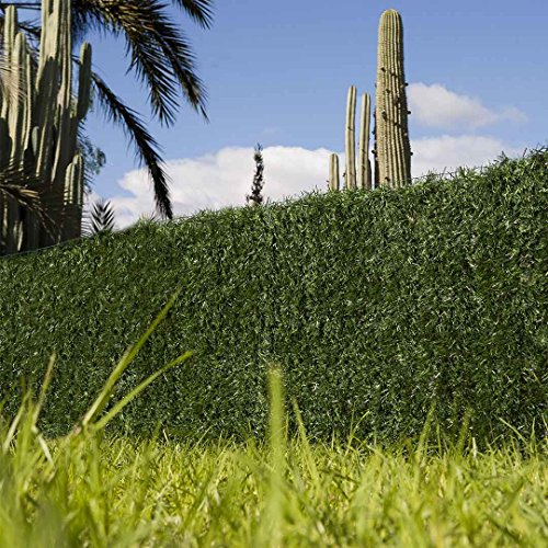 Catral 43020013 Seto Dense, Verde, 300x3x100 cm