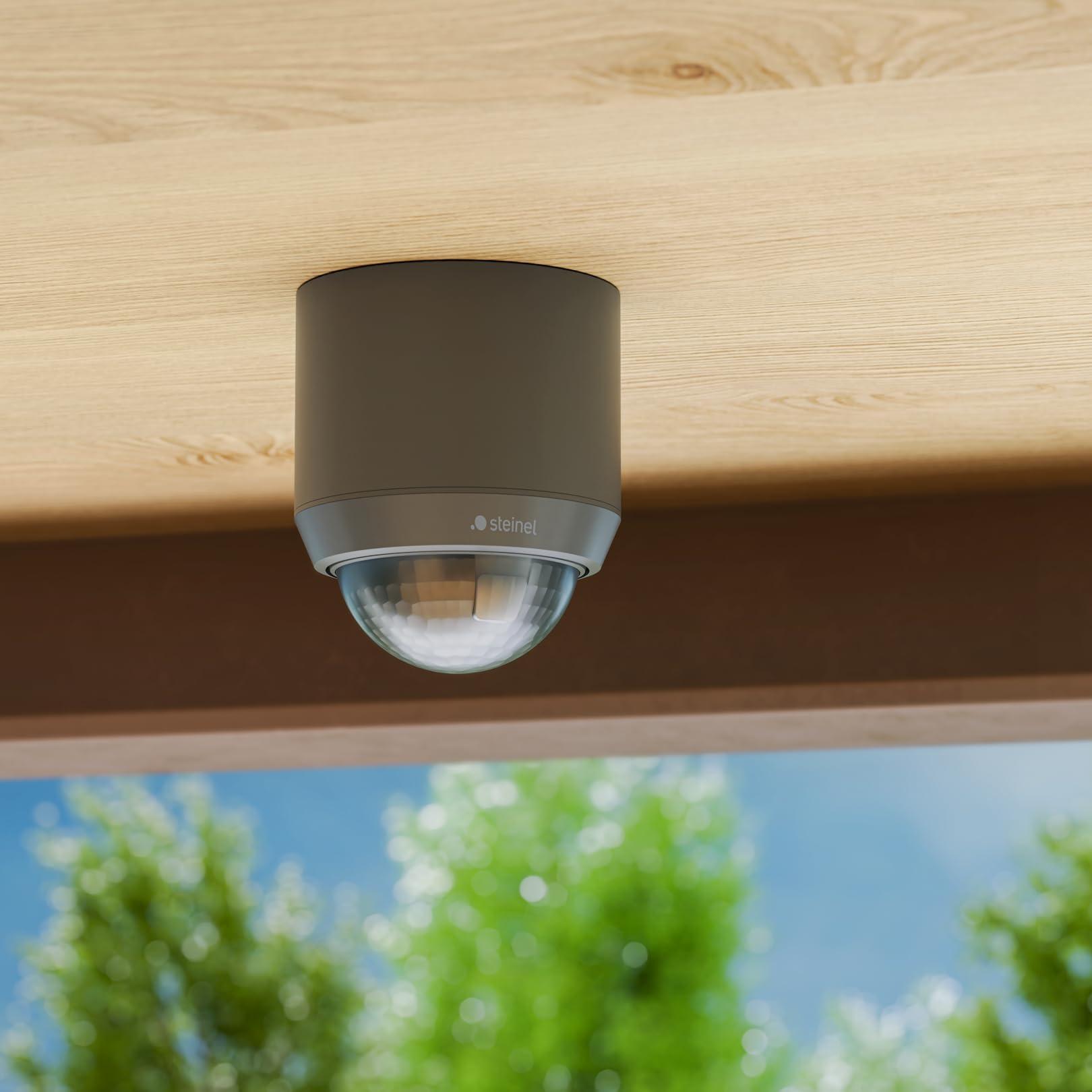 Steinel MD IR N360 Aufputz Anthrazit – Decken-Bewegungsmelder mit 360° Erfassung | Präzise Sensorsteuerung & App-Integration | Optimal für Eingangsbereiche, Flure & Gewerbeobjekte