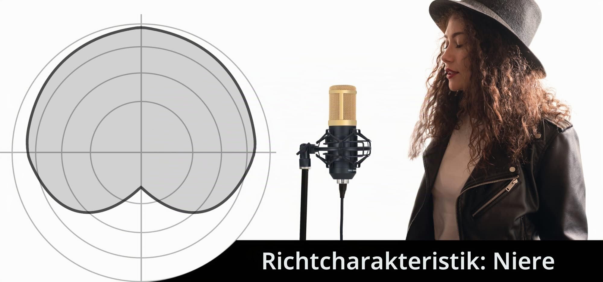 Pronomic CM-100BG Studio Großmembranmikrofon XLR-Kondensatormikrofon (mit Mikrofonspinne, Etui, Windschutz, Reduziergewinde) schwarz | Goldbedampfte 34 mm Membran, Richtcharakteristik: ausgeprägte Niere, Frequenzbereich: 20 Hz - 20 kHz, 5 % THD, XLR-Ansch